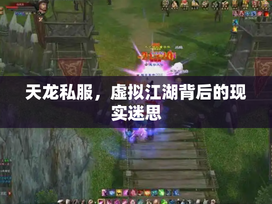 天龙私服，虚拟江湖背后的现实迷思