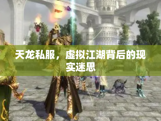 天龙私服，虚拟江湖背后的现实迷思