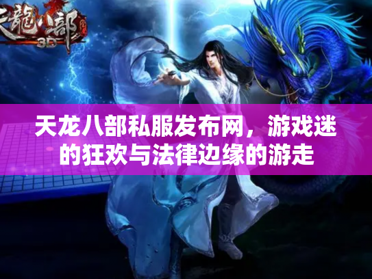 天龙八部私服发布网，游戏迷的狂欢与法律边缘的游走