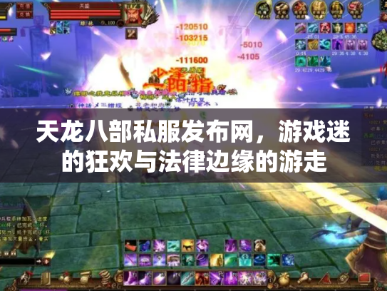天龙八部私服发布网，游戏迷的狂欢与法律边缘的游走
