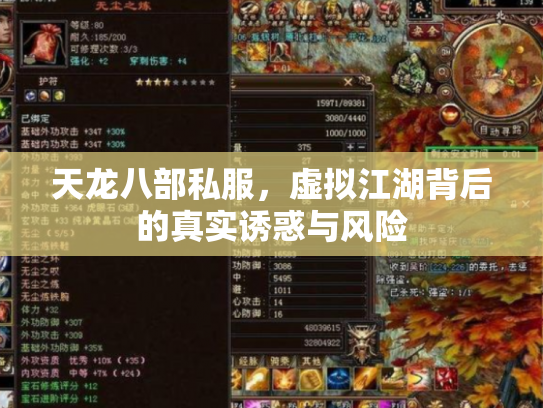 天龙八部私服，虚拟江湖背后的真实诱惑与风险