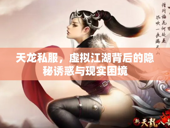 天龙私服，虚拟江湖背后的隐秘诱惑与现实困境