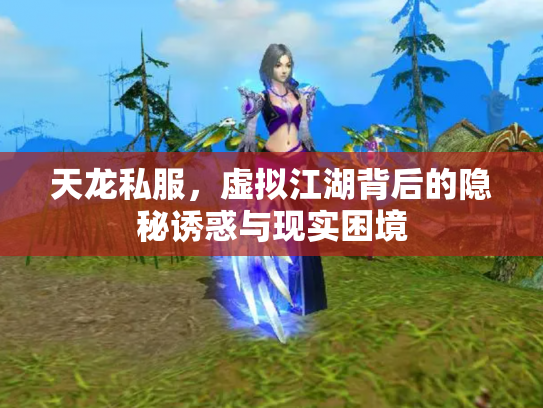 天龙私服，虚拟江湖背后的隐秘诱惑与现实困境