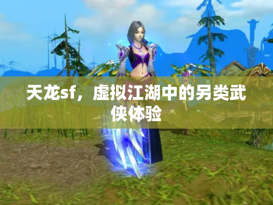 天龙sf，虚拟江湖中的另类武侠体验