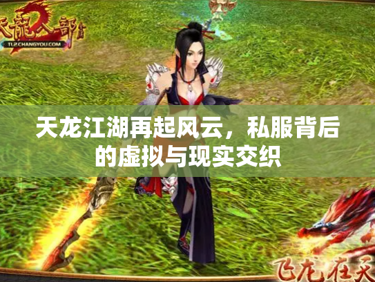 天龙江湖再起风云，私服背后的虚拟与现实交织