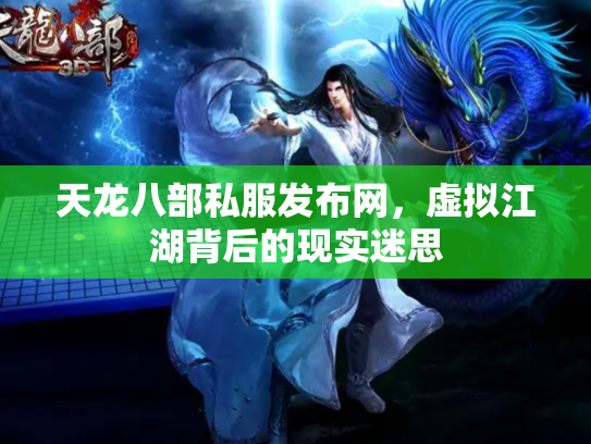 天龙八部私服发布网，虚拟江湖背后的现实迷思