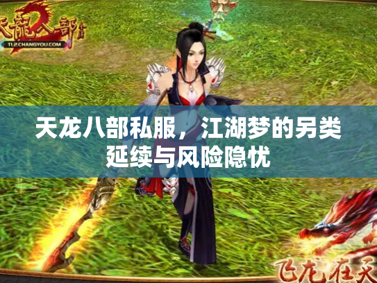 天龙八部私服，江湖梦的另类延续与风险隐忧