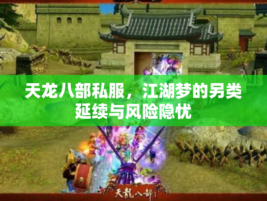 天龙八部私服，江湖梦的另类延续与风险隐忧