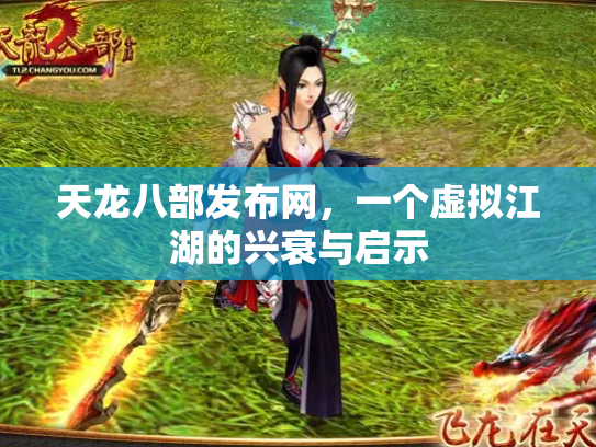 天龙八部发布网，一个虚拟江湖的兴衰与启示
