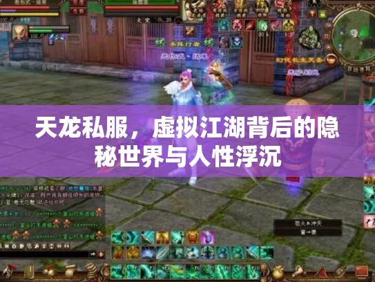 天龙私服，虚拟江湖背后的隐秘世界与人性浮沉