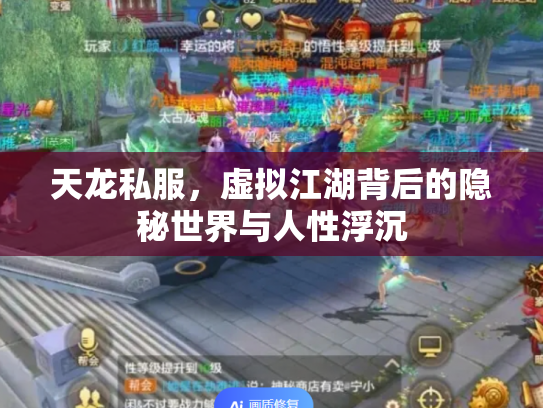 天龙私服，虚拟江湖背后的隐秘世界与人性浮沉