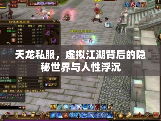 天龙私服，虚拟江湖背后的隐秘世界与人性浮沉