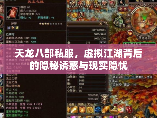 天龙八部私服，虚拟江湖背后的隐秘诱惑与现实隐忧