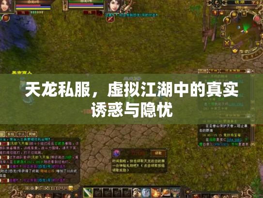 天龙私服，虚拟江湖中的真实诱惑与隐忧