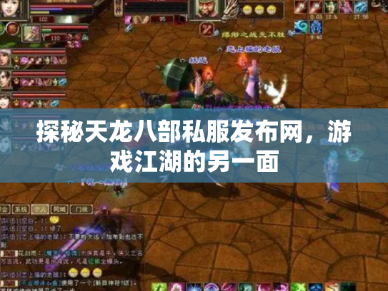 探秘天龙八部私服发布网，游戏江湖的另一面