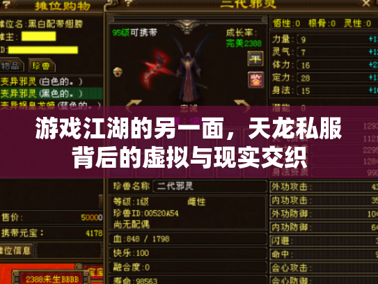 游戏江湖的另一面，天龙私服背后的虚拟与现实交织