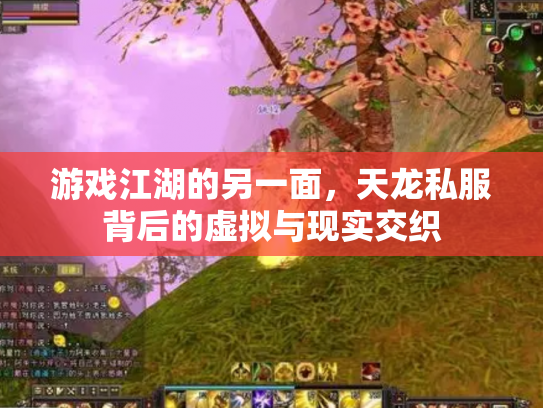 游戏江湖的另一面，天龙私服背后的虚拟与现实交织