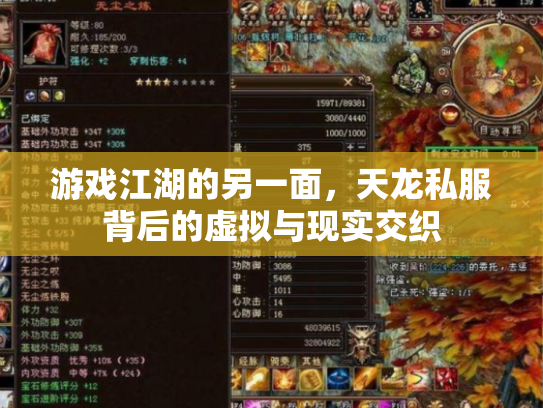 游戏江湖的另一面，天龙私服背后的虚拟与现实交织