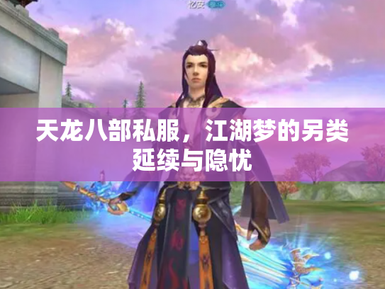 天龙八部私服，江湖梦的另类延续与隐忧