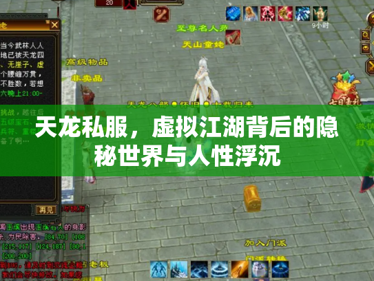 天龙私服，虚拟江湖背后的隐秘世界与人性浮沉