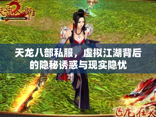 天龙八部私服，虚拟江湖背后的隐秘诱惑与现实隐忧