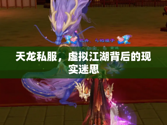 天龙私服，虚拟江湖背后的现实迷思
