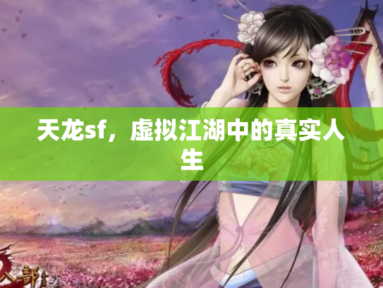 天龙sf，虚拟江湖中的真实人生