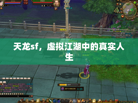 天龙sf，虚拟江湖中的真实人生