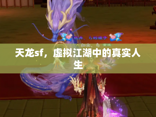 天龙sf，虚拟江湖中的真实人生