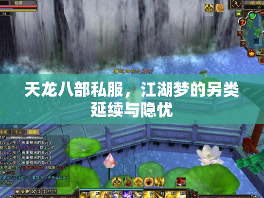 天龙八部私服，江湖梦的另类延续与隐忧