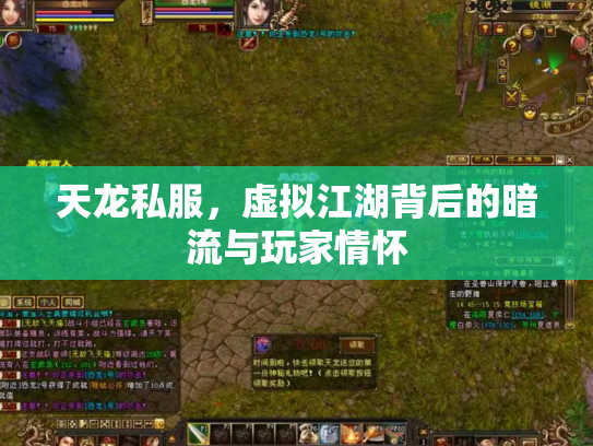 天龙私服，虚拟江湖背后的暗流与玩家情怀