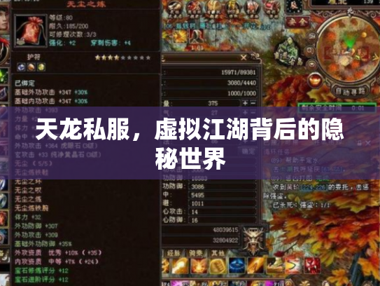 天龙私服，虚拟江湖背后的隐秘世界