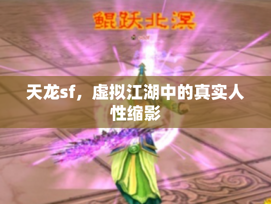 天龙sf，虚拟江湖中的真实人性缩影