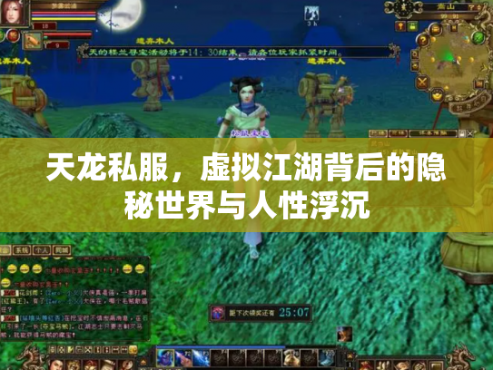 天龙私服，虚拟江湖背后的隐秘世界与人性浮沉