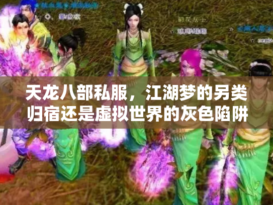 天龙八部私服，江湖梦的另类归宿还是虚拟世界的灰色陷阱？