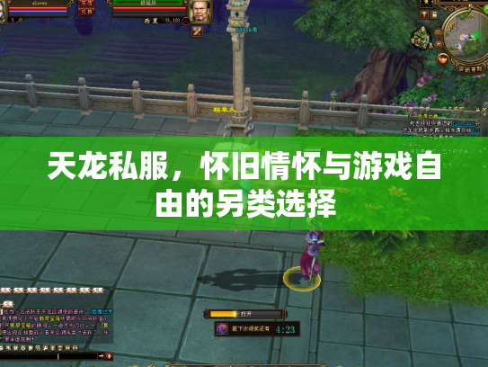 天龙私服，怀旧情怀与游戏自由的另类选择