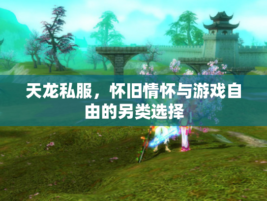 天龙私服，怀旧情怀与游戏自由的另类选择