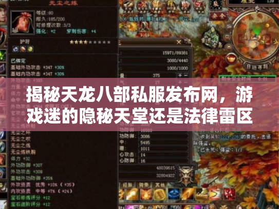 揭秘天龙八部私服发布网，游戏迷的隐秘天堂还是法律雷区？