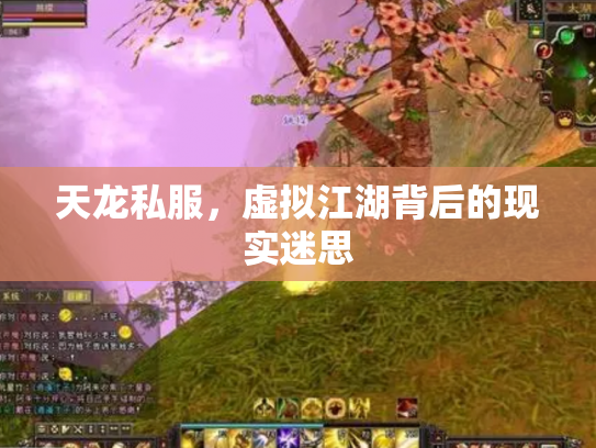 天龙私服，虚拟江湖背后的现实迷思