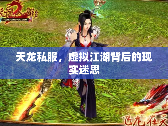 天龙私服，虚拟江湖背后的现实迷思