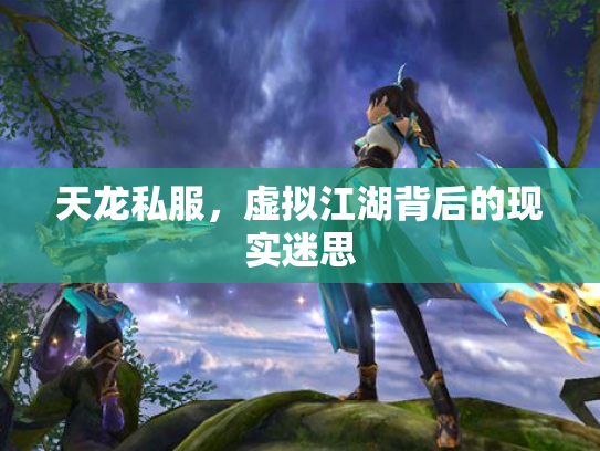 天龙私服，虚拟江湖背后的现实迷思