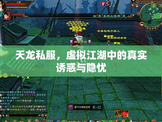 天龙私服，虚拟江湖中的真实诱惑与隐忧
