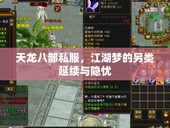 天龙八部私服，江湖梦的另类延续与隐忧