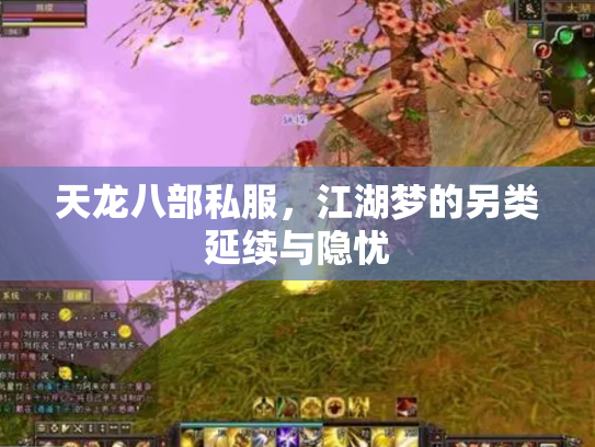天龙八部私服，江湖梦的另类延续与隐忧