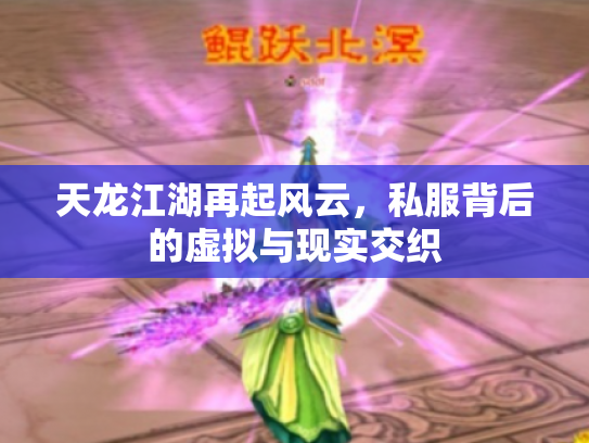 天龙江湖再起风云，私服背后的虚拟与现实交织