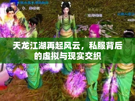 天龙江湖再起风云，私服背后的虚拟与现实交织