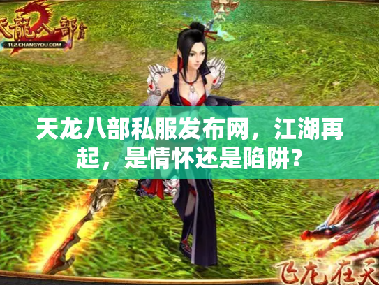天龙八部私服发布网，江湖再起，是情怀还是陷阱？