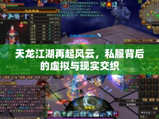 天龙江湖再起风云，私服背后的虚拟与现实交织