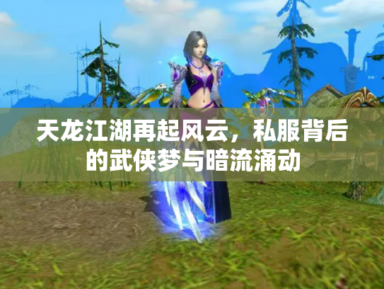 天龙江湖再起风云，私服背后的武侠梦与暗流涌动