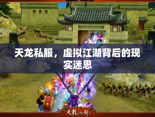 天龙私服，虚拟江湖背后的现实迷思